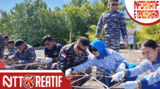 Lanal Maumere bersama BKSDA NTT tanam terumbu karang di teluk Maumere. (nttkreatif.com/Mardat)
