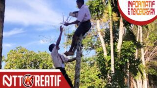 Siswa SMP Negeri 6 Wewewa Selatan di Desa Rita, Kecamatan Wewewa Selatan, Kabupaten Sumba Barat Daya (SBD) NTT, melakasanakan Asesmen Nasional Berbasis Komputer (ANBK) sambil panjang pinang untuk mendapatkan jaringan internet pada Senin tanggal 25 Agustus 2025 pagi tadi.