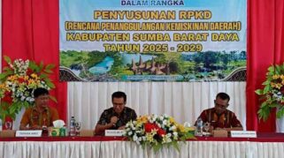 Wakil Bupati SBD, Dominikus A Rangga Kaka membuka secara resmi kegiatan RPKD. (Dokumen Kominfo SBD)