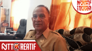 Kadis Pertanian akhirnya buka suara soal alsintan yang diparkir di Rujab Bupati. Dirinya menyebut lokasi itu jadi alternatif karena gudang alsintan masih butuh perbaikan. (nttkreatif.com/Ballack)