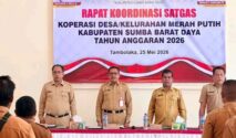 Pemerintah Kabupaten Sumba Barat Daya (SBD) terus mematangkan kesiapan operasional Koperasi Desa/Kelurahan Merah Putih (KDKMP). (Dok. Prokompi SBD)