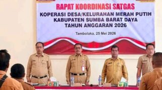 Pemerintah Kabupaten Sumba Barat Daya (SBD) terus mematangkan kesiapan operasional Koperasi Desa/Kelurahan Merah Putih (KDKMP). (Dok. Prokompi SBD)