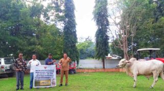 Wakil bupati SBD, Dominikus A. Rangga Kaka, secara simbolis menyerahkan bantuan hewan kurban Iduladha 1447 H. (NTTKreatif.com/ Fren Ghoghi)