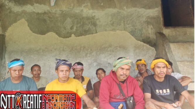 Warga dusun 3 desa Pero yang menerima bantuan ternak dari Pemprov NTT, malalui dinas perternakan dan sekarang mereka dirugikan akibat ulah mantan kades. (NTTKreatif.com)
