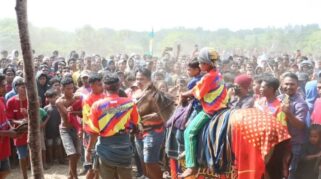 Salah satu Kuda juara saat turnamen berlangsung. Foto: Prokompi Sumba Barat Daya