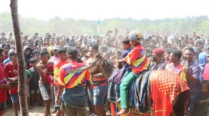 Salah satu Kuda juara saat turnamen berlangsung. Foto: Prokompi Sumba Barat Daya