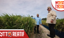 Presiden Prabowo menyebut kalau saat ini sudah banyak petani yang liburan ke luar negeri. (Instagram.com/@presidenrepublikindonesia)