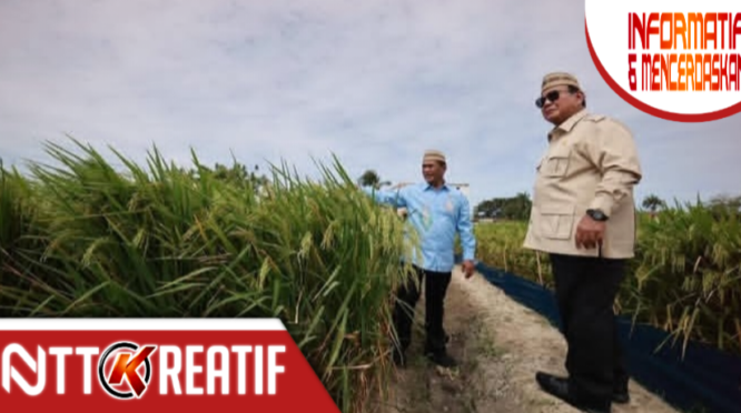 Presiden Prabowo menyebut kalau saat ini sudah banyak petani yang liburan ke luar negeri. (Instagram.com/@presidenrepublikindonesia)