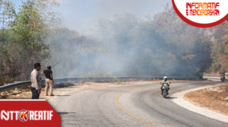 Kawasan hutan Watuganggorok di Sumba Barat Daya terbakar. (nttkreatif.com/Ballack)