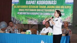 Pemkab SBD gelar rakor percepatan pengabangan Bioetanol. (Facebook.com/@Prokompi Sumba Barat Daya)